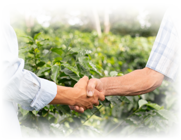 Two farmers shaking hands